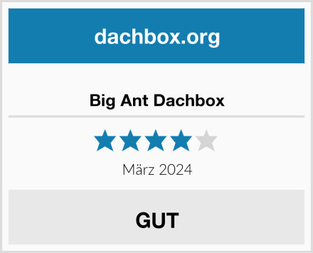  Big Ant Dachbox Test